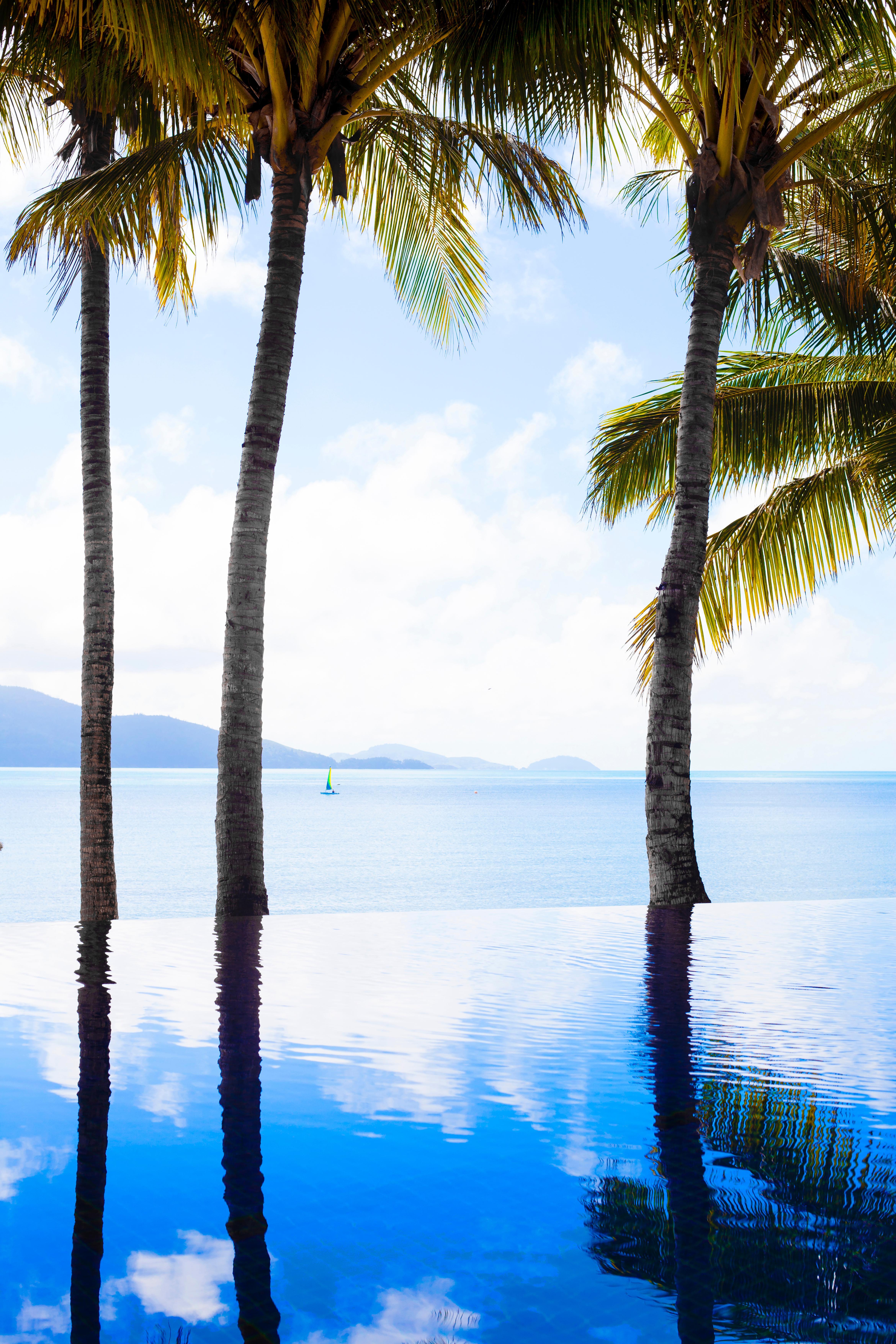 Beach Club (Adults Only) Hamilton Island Eksteriør billede