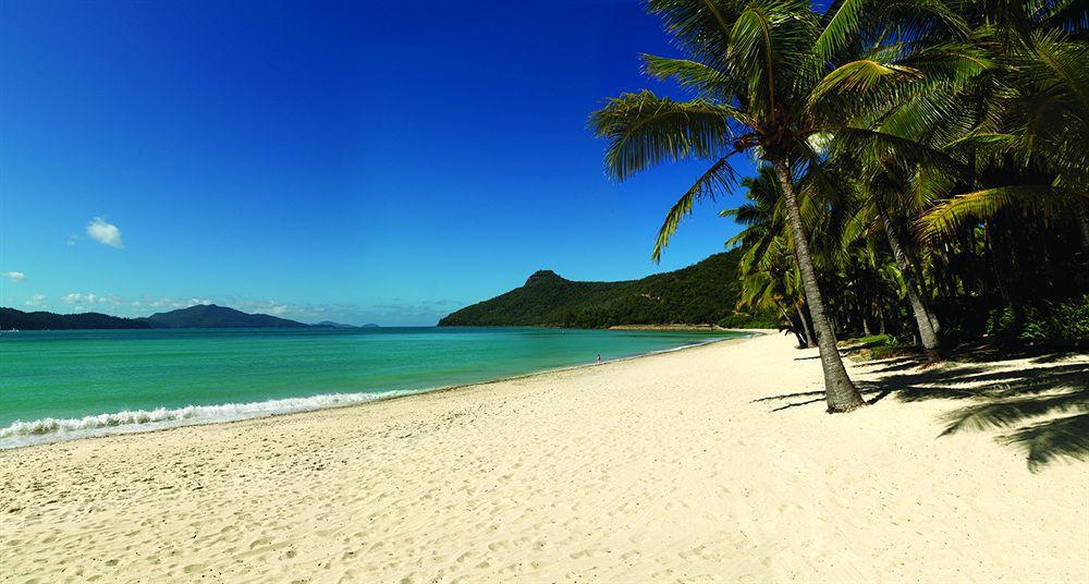 Beach Club (Adults Only) Hamilton Island Eksteriør billede